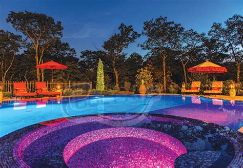 Top Swimming Pool Design Trends In 2018 Custom Pool Pros