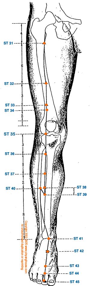 St Stomach Meridian Graphic Yin Yang House Meridian Acupuncture