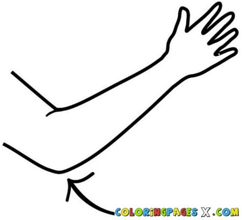 Elbow Clipart Free Download On Clipartmag