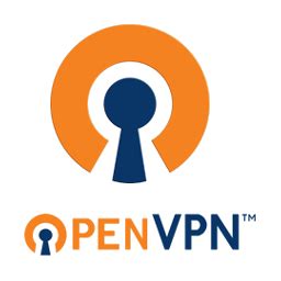 We will use a free script that will install the vpn server on your server, then we will be able to connect to it through free windows, android, apple and linux apps. Install openvpn server on Debian 9 "Stretch" Linux systems ...