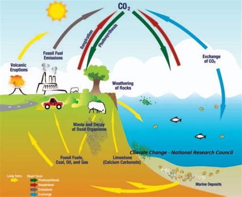 Berikut komponen gas yang ada di atmosfer, bersumber dari sumber belajar kemendikbud. Pemanasan Global: Pengertian, Proses Terjadinya & Dampak