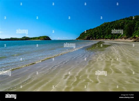 Remote Beach In Tropical Queensland Australia Stock Photo Alamy