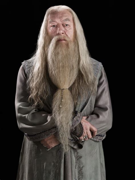 Portrait Of Albus Dumbledore Harry Potter Fan Zone