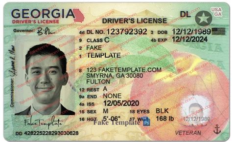 Georgia Id Template