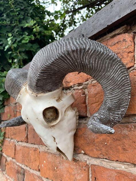 Handmade Ram Skull Large Hanging Wall Sculpture Home Fireplace Etsy Uk