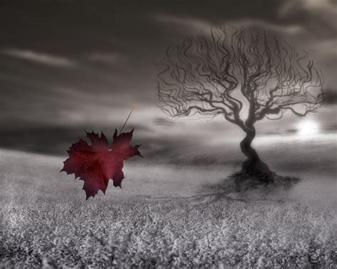 Surreal Tree Fall Landscape Photography On Wrapped Canvas