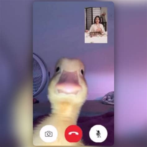Duck Facetime Lens By Under 25 Mcc Snapchat Lenses And Filters
