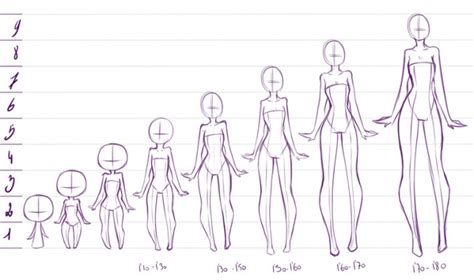Рисование Пропорции тела с высотой от 2х до 9ти голов