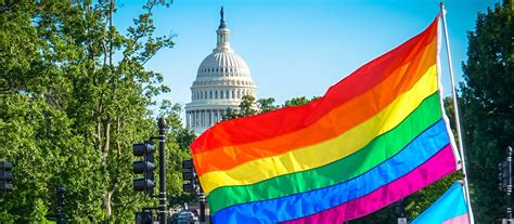 Record Number Of Lgbtq People Are Running For Office In The Us