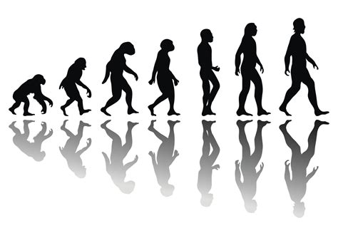 Homo Sapiens Vector Clipart Illustrations Homo Sapiens Clip Art My