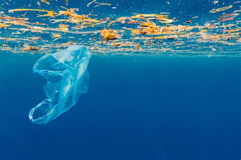 Drowning In Plastic Defra In The Media