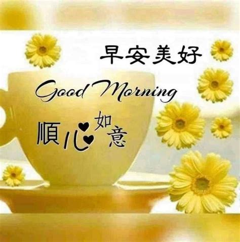 Chinese Good Morning Wishes Good Morning Motivational Quotes