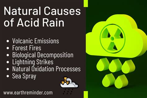Main Causes Of Acid Rain By Natural And Human Activities
