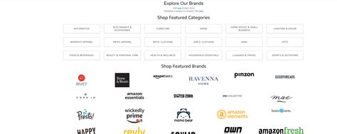Amazon Own Brands - SellerEngine