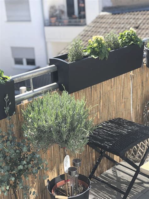 Balkonkasten vers barrière | Modern landscaping, Modern backyard, Modern garden