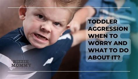 Toddler Aggression When To Worry And What To Do About It