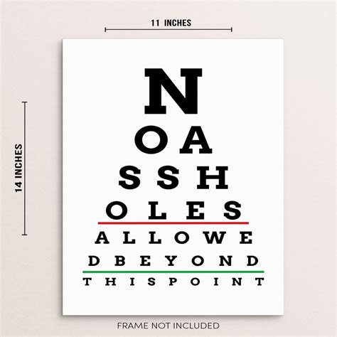 Funny Eye Chart Snellen Poster Wall Print No Asshoies Allowed Etsy