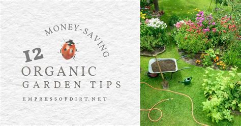 12 Smart Tips For Starting A Budget Friendly Organic Garden