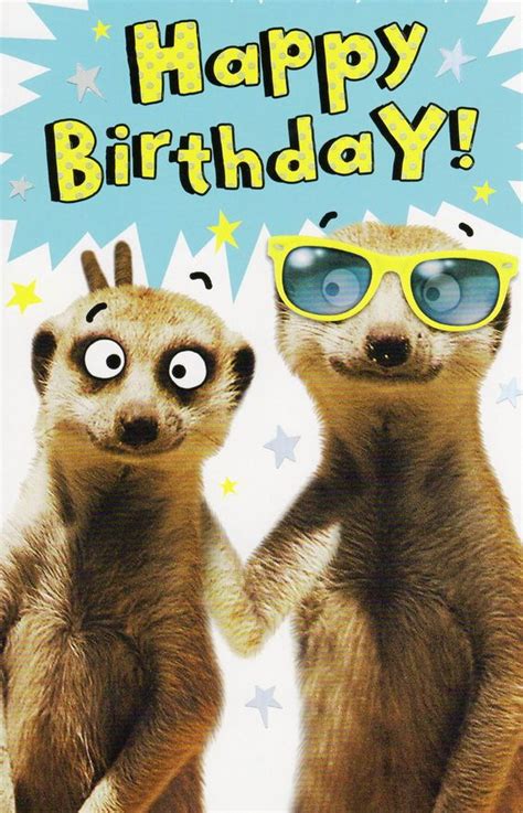 Maybe you would like to learn more about one of these? 27 Craziest Birthday Memes To Wish Your Friend A Happy ...
