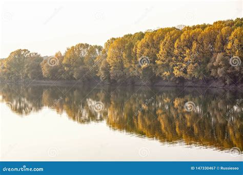 Row Of Trees Along The River Stock Image Image Of Landscape Forest