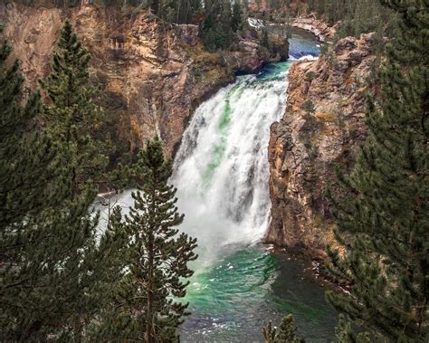 The Grand Canyon Of Yellowstone Upper Falls Photograph By Nicholas