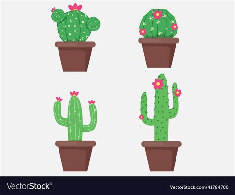 Green Cactus Bright Cacti Flowers Isolated Vector Image