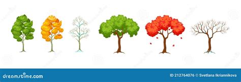 Cartoon Tree At Different Times Of Year Seasonal Tree With And Without