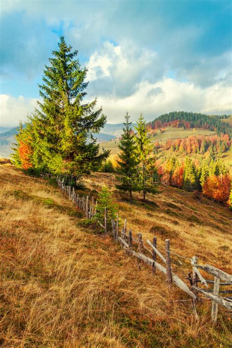 Colorful Autumn Landscape In The Carpathian Mountains Stock Photo