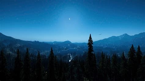 Night Sky Forest Scenery Landscape 4k 6444 Wallpaper