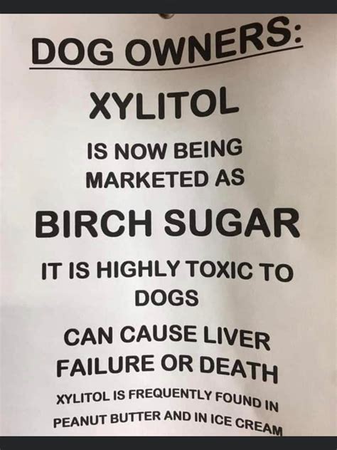 Fact Check Peanut Butter With Xylitol Is Highly Toxic To Dogs Lead