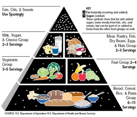 Dr Mark Hyman Heres How The Food Pyramid Should Look Ecowatch