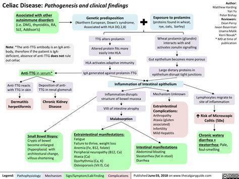 Celiac Disease Pathogenesis And Clinical Findings Calgary Guide