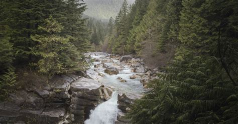Hiking Upper Gold Creek Falls Canada