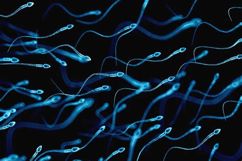 Yes Sperm Counts May Be Dropping But Its Not Time To Panic Yet The