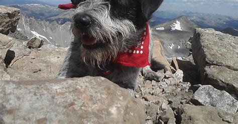Lexi On Quandary Peak 14265 A First For Both Of Us Imgur