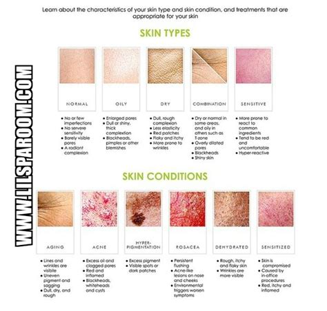 Skin Types And Skin Conditions Skin Conditions Skin Types Skin