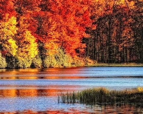 1179x2556px 1080p Free Download Autumn River River Landscape