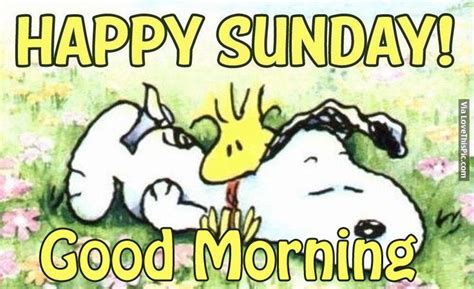 Happy Sunday Good Morning Snoopy Quotes Happy Sunday Quotes Snoopy