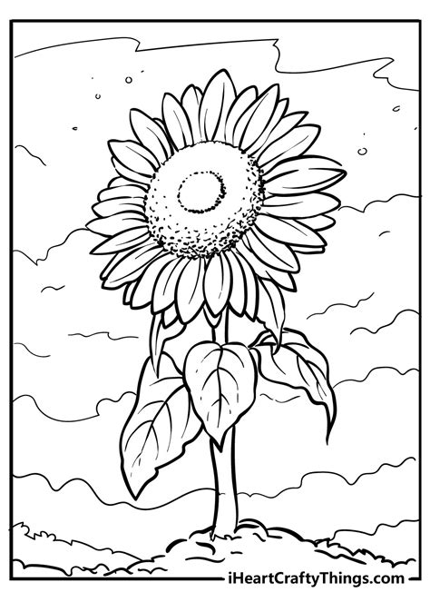 Sunflower Coloring Pages Updated 2021