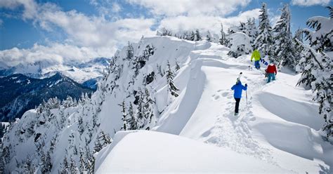 Snow Fall The Avalanche At Tunnel Creek The New York Times