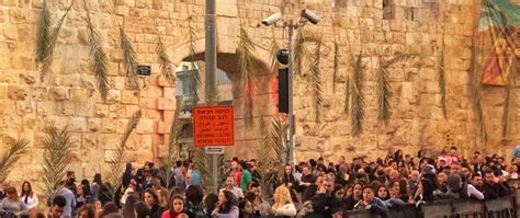 Homily From Pilgrimage To Israel Mar 25 2018 Jerusalem Palm
