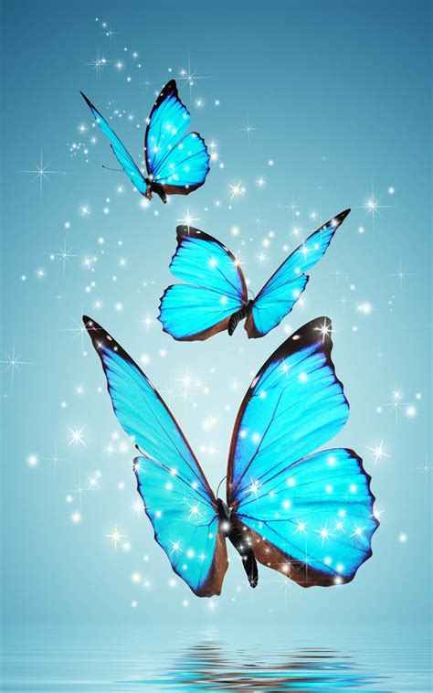 Magical Blue Butterfly Download Free Hd Mobile Wallpapers
