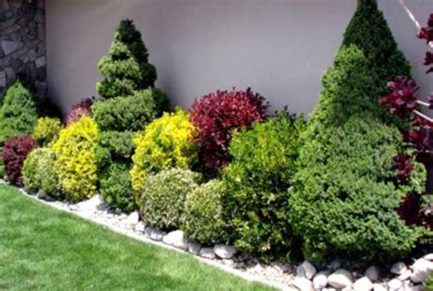 33 Wonderful Evergreen Landscape Ideas For Front Yard Side Yard