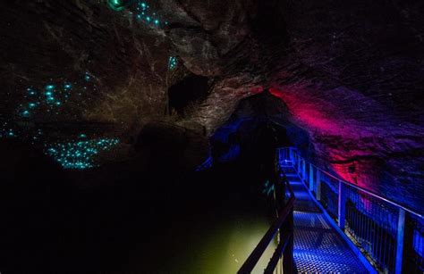 Glowworm Cave Tour In The Waitomo Caves