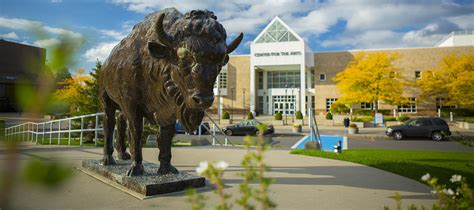 Ub Scholarship Portal