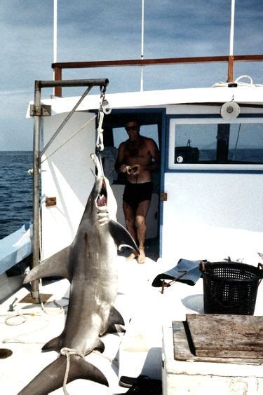 Florida Keys Shark Fishing Tips For Successful Fishing Trips Shark