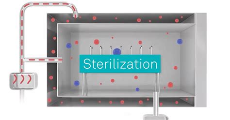 The Vital Role Of The Sterile Processing Department In Healthcare