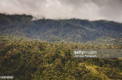 The Highlands Papua New Guinea Photos And Premium High Res Pictures