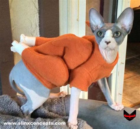 Because human body heat helps to keep them comfortable on cold nights, they're perfect snugglers and love to crawl under the covers with their people. Sphynx Cat Clothes Cat Turkey Sweater Dog Costume ...
