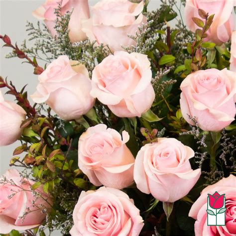 Beretanias 2 Doz Extra Long Stem Pink Rose Bouquet Pink Hue May Vary
